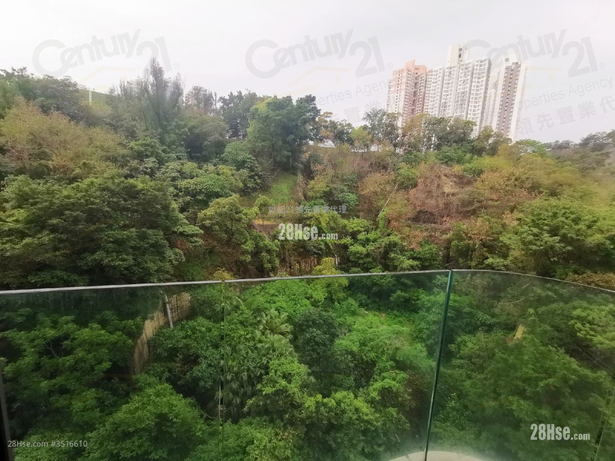 何文田山畔 售盤 2 房 , 1 浴室 490 平方呎