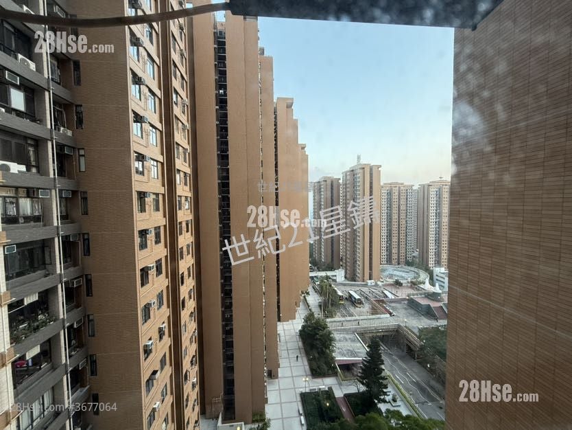 Chi Fu Fa Yuen Sell 588 ft²