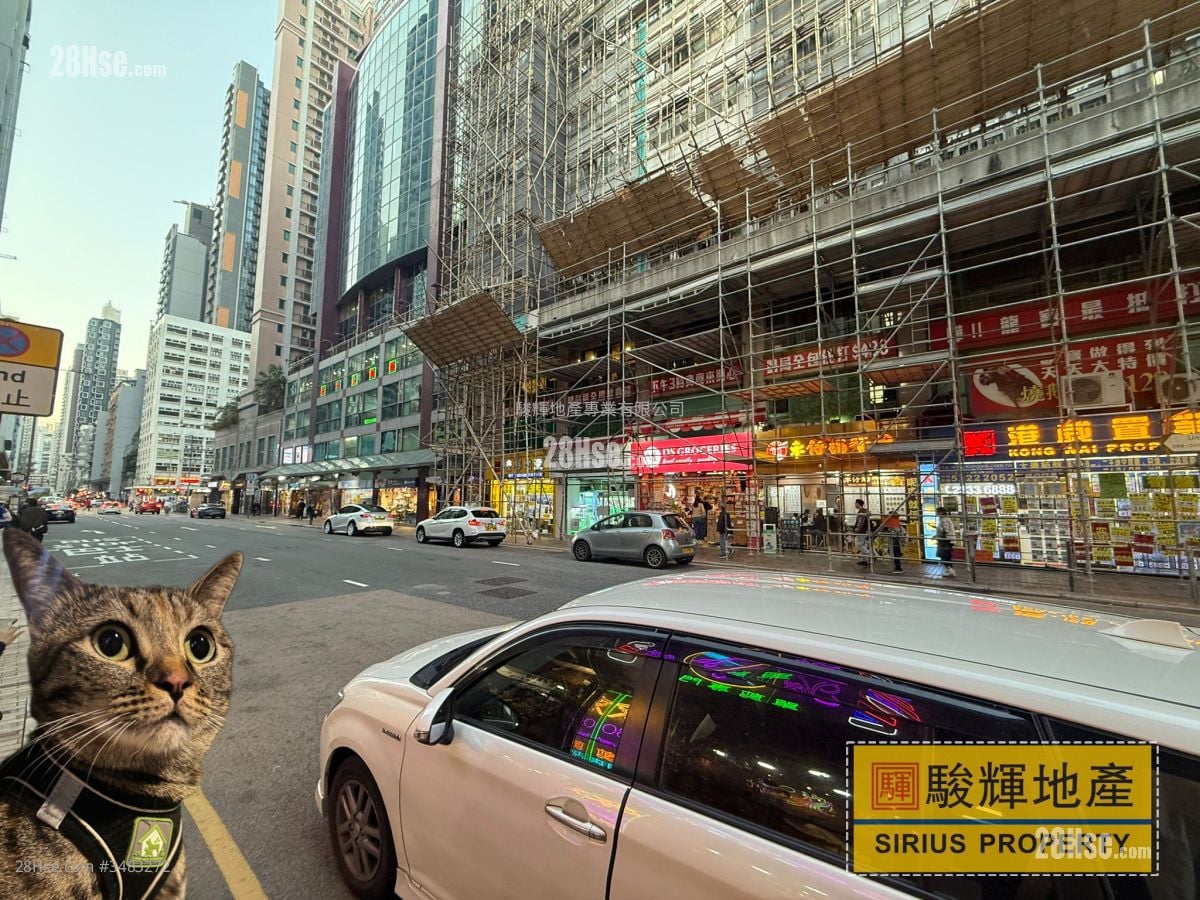 167 Pratas Street Rental Studio