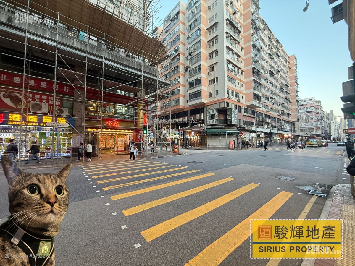 167 Pratas Street Rental Studio