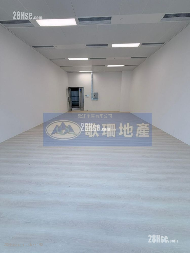 国际企业中心三期 租盘