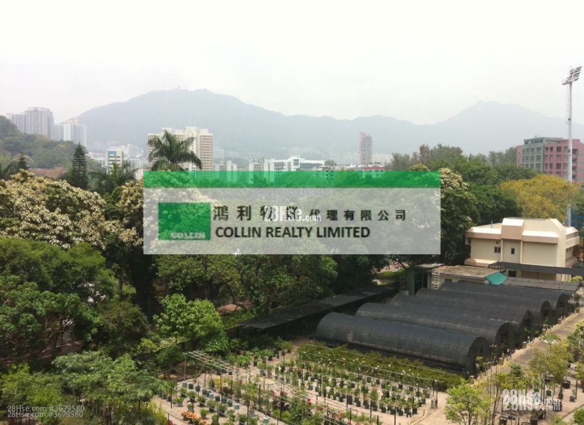 琼华阁 售盘 开放式间隔 1,120 平方尺