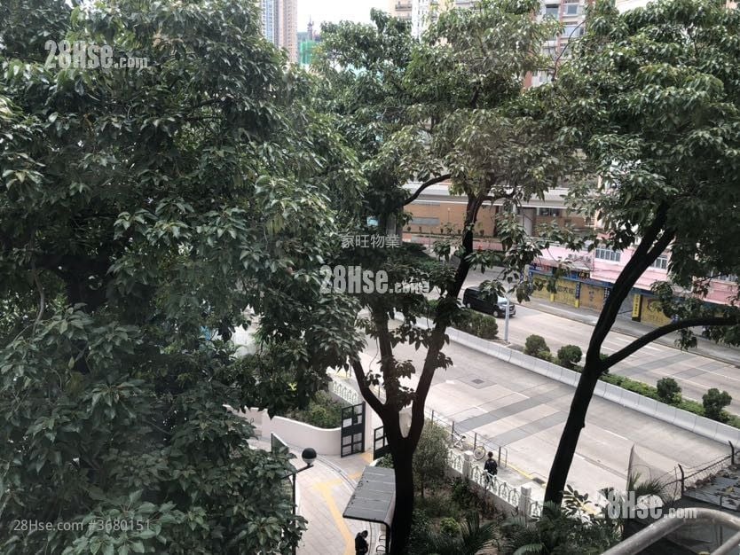 Nelson Court Sell 3 Bedrooms , 2 Bathrooms 812 ft²