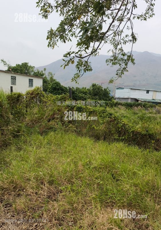 土地 售盘 12,500 平方尺