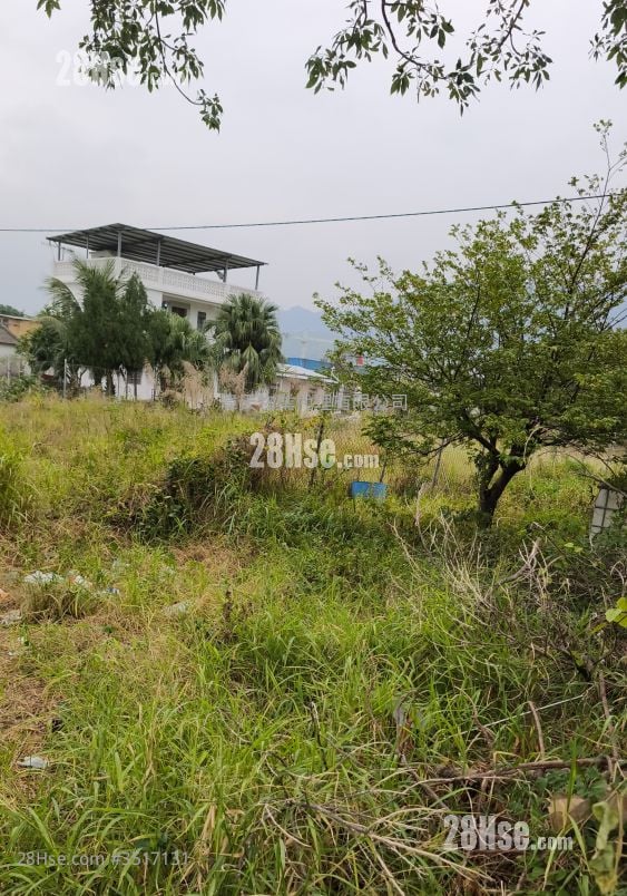 土地 售盘 12,500 平方尺