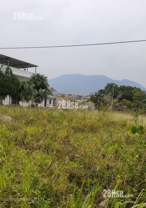 土地 售盘 12,500 平方尺