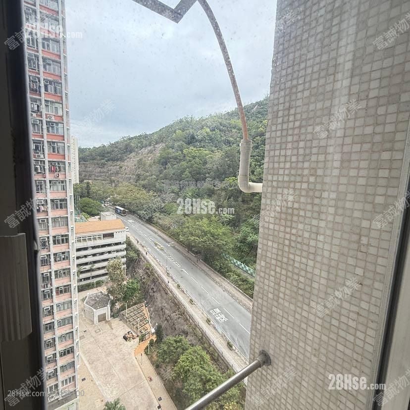 康雅苑 售盘 2 房 , 1 浴室 536 平方尺