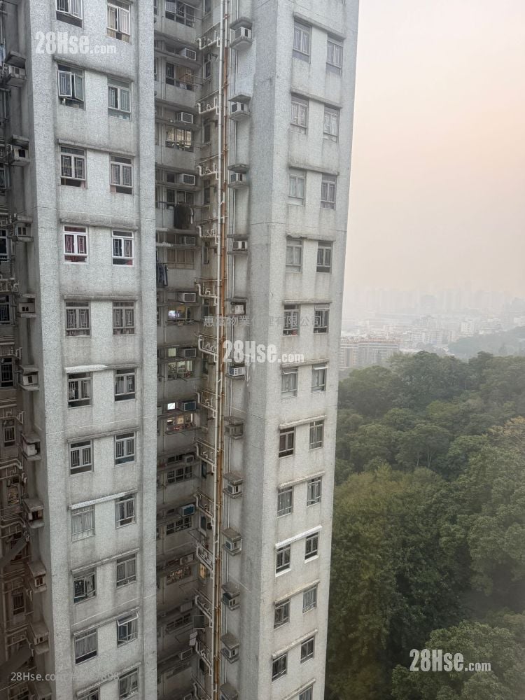 翠竹花园 售盘 3 房 , 1 浴室 592 平方尺