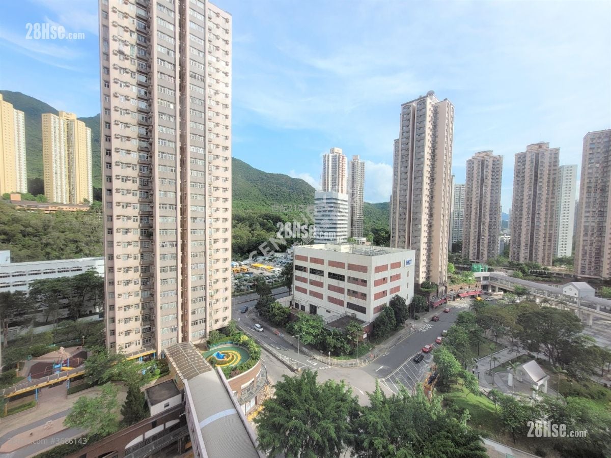 Jimmy豆生   63460809