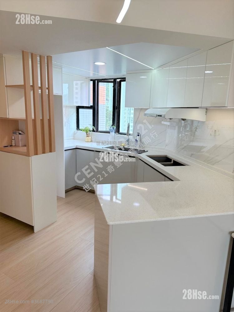 Jimmy豆生  63460809