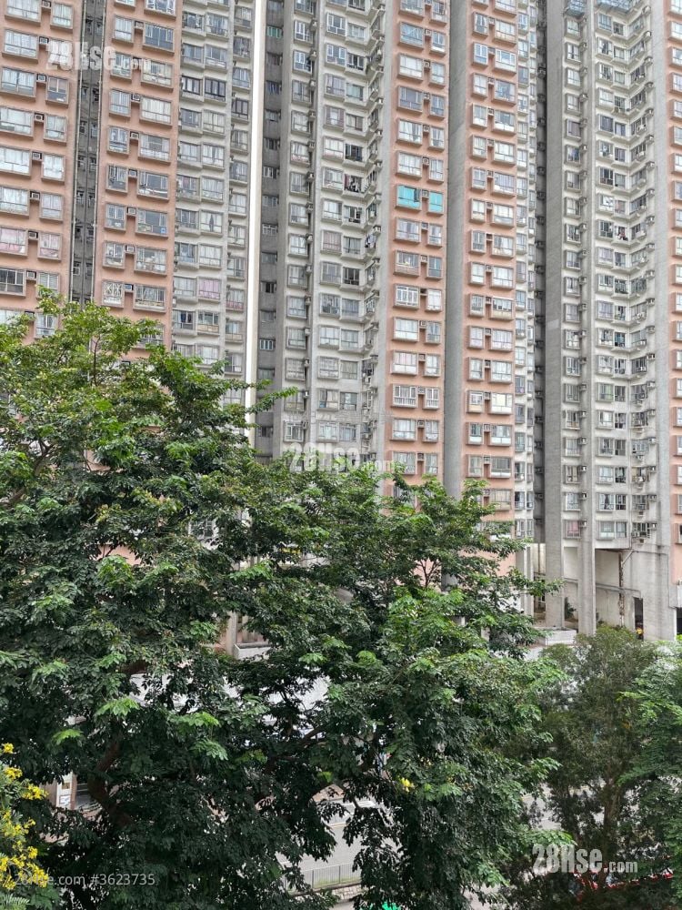 Cheung Wah Estate Sell Studio , 1 Bathroom 283 ft²