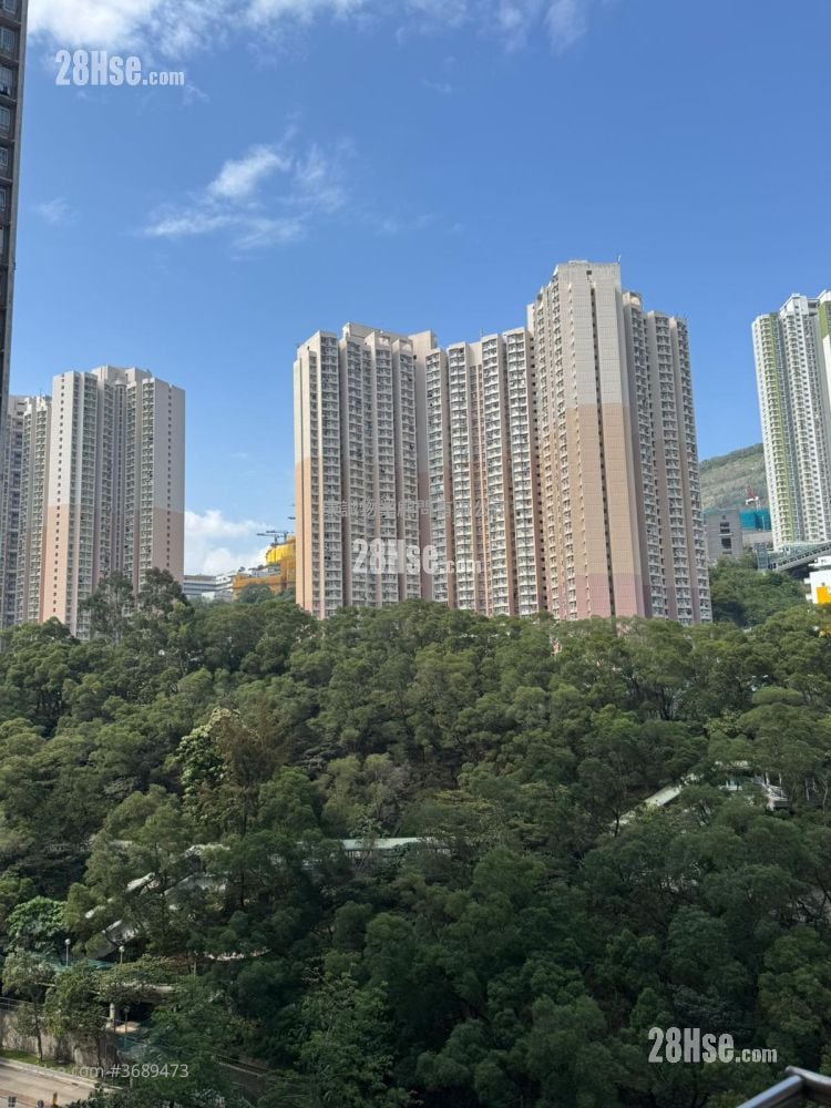 Hiu Lai Court Sell 3 Bedrooms , 1 Bathroom 637 ft²