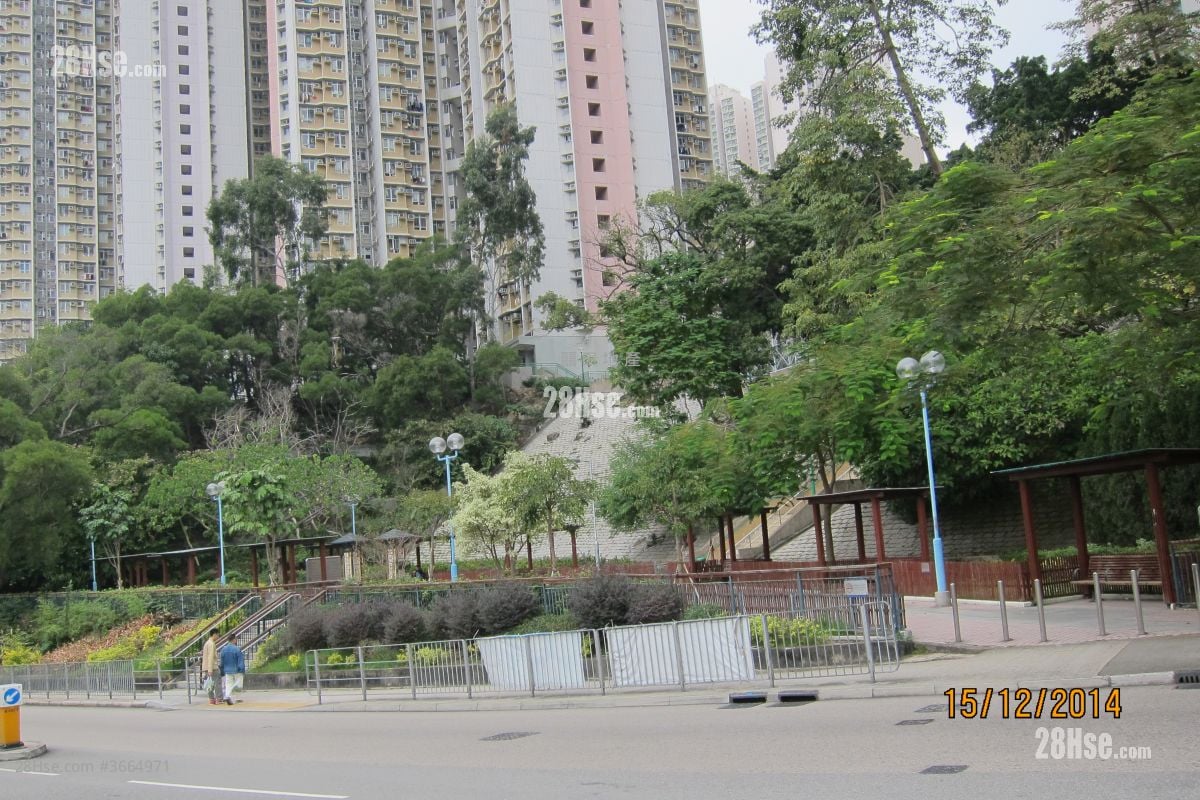 晓丽苑 租盘 3 房 , 2 浴室 642 平方尺