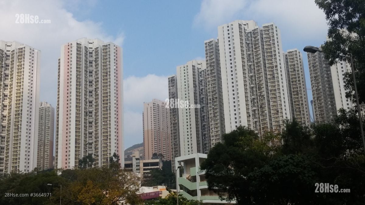 晓丽苑 租盘 3 房 , 2 浴室 642 平方尺