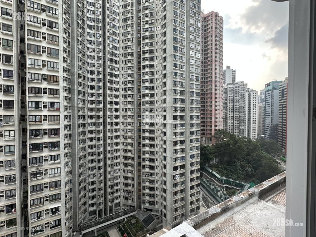 中南大厦 售盘 1 房 , 1 浴室 388 平方尺