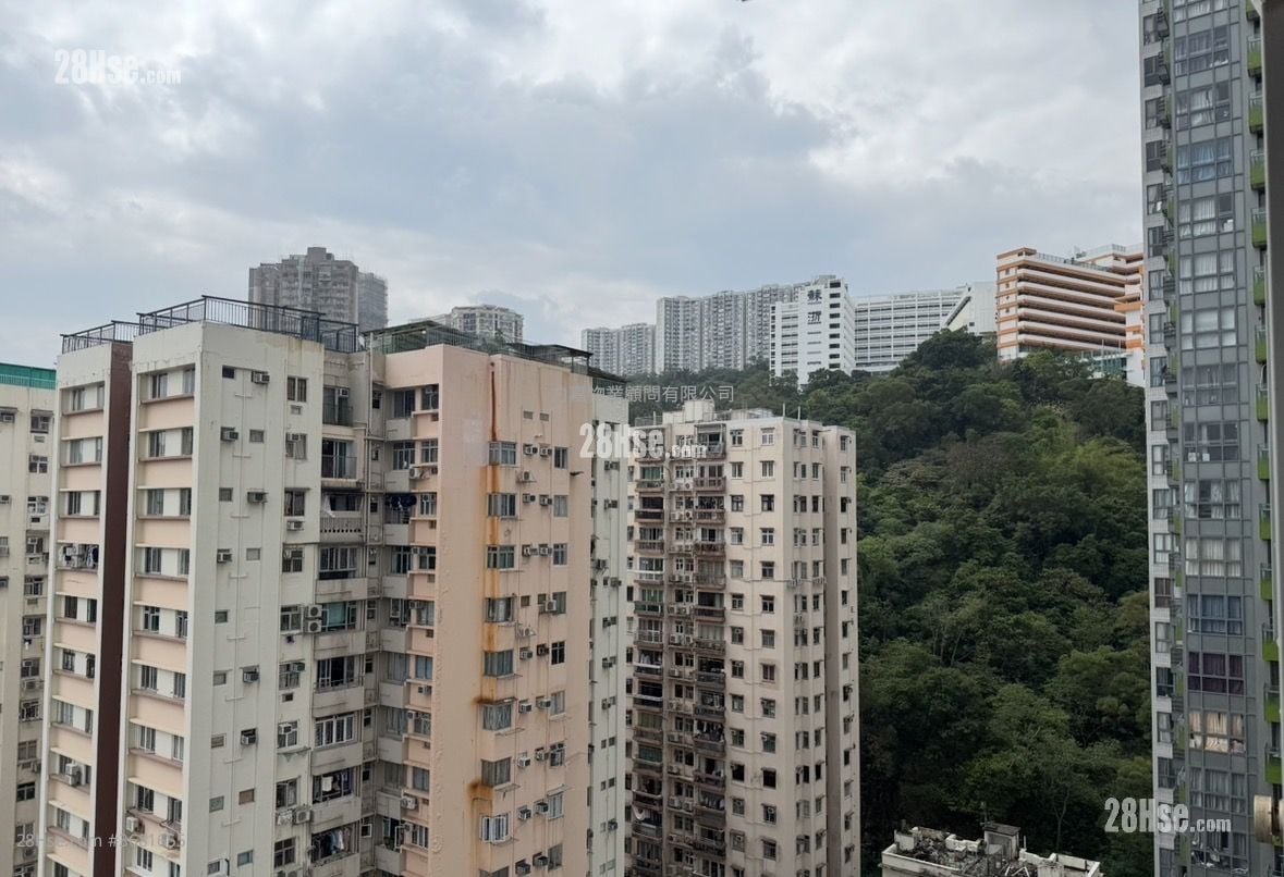 Mount East Sell 2 Bedrooms , 2 Bathrooms 549 ft²