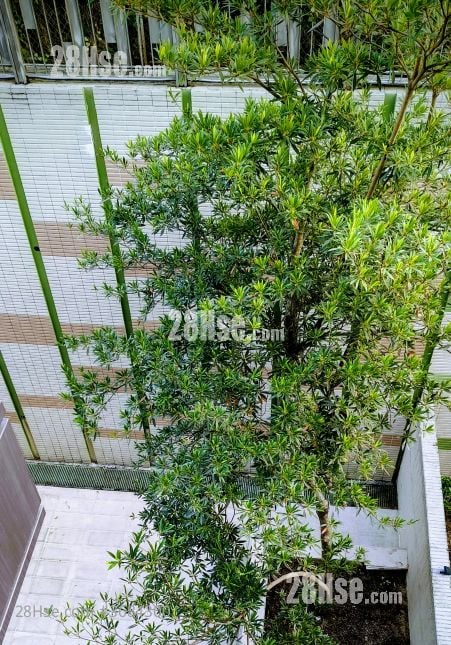 尚築 租盤 3 房 , 3 浴室 2,213 平方呎