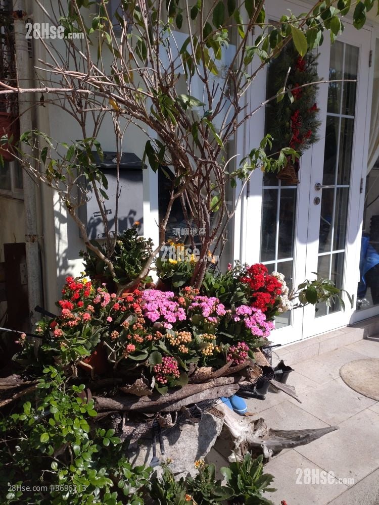 村屋 售盘 1 房 , 1 浴室 400 平方尺