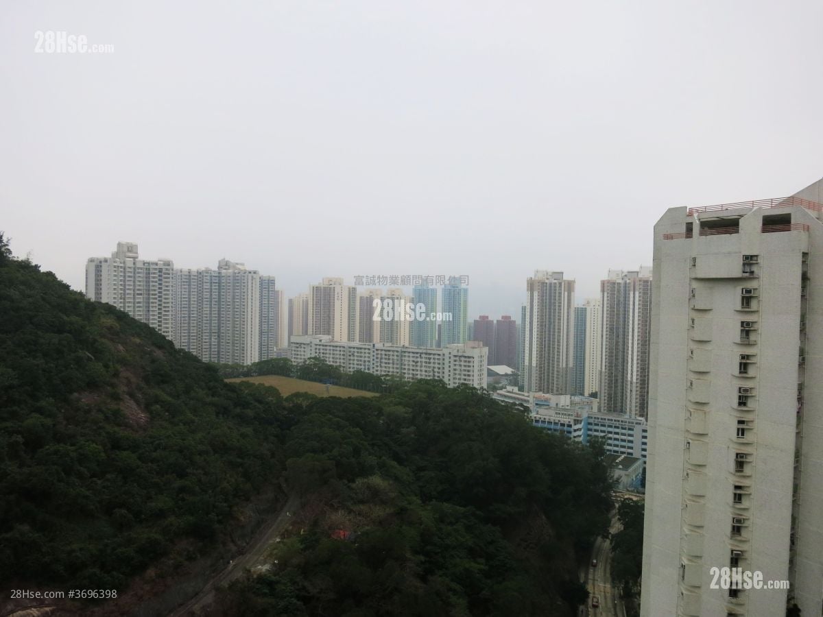 康华苑 售盘 380 平方尺