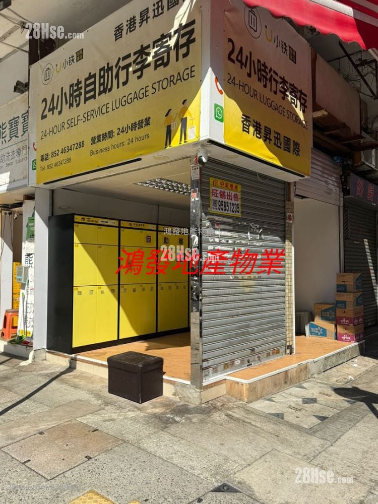 Tin Fat House Rental