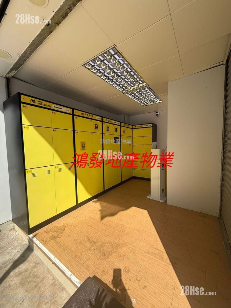 Tin Fat House Rental