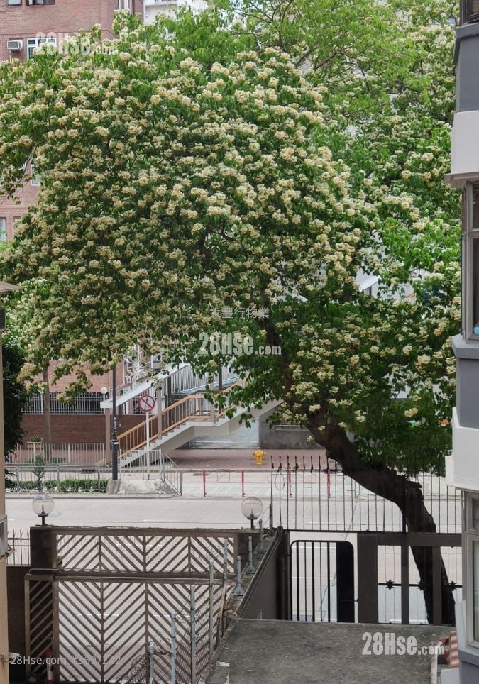 幸运阁 售盘 3 房 , 2 浴室 1,281 平方尺