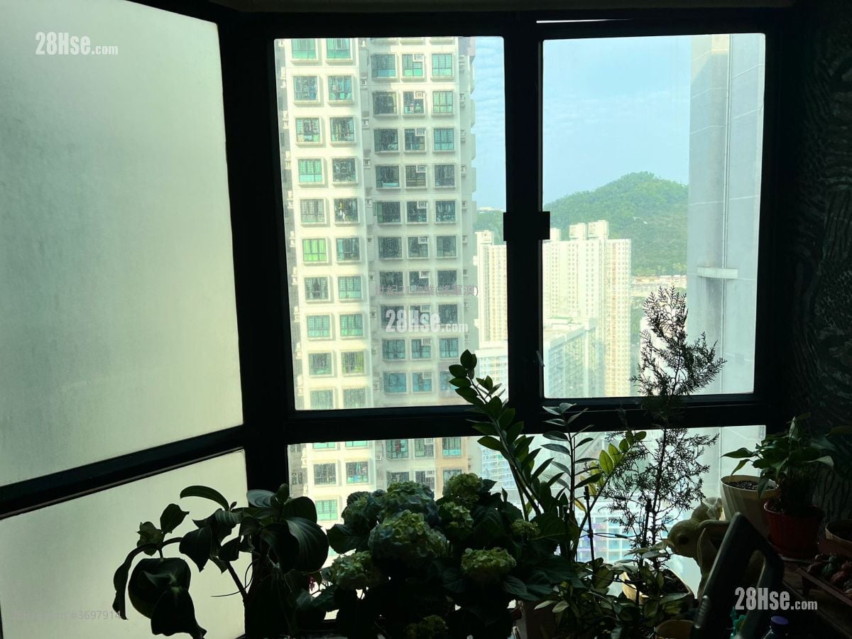 富丽花园 售盘 3 房 , 2 浴室 556 平方尺