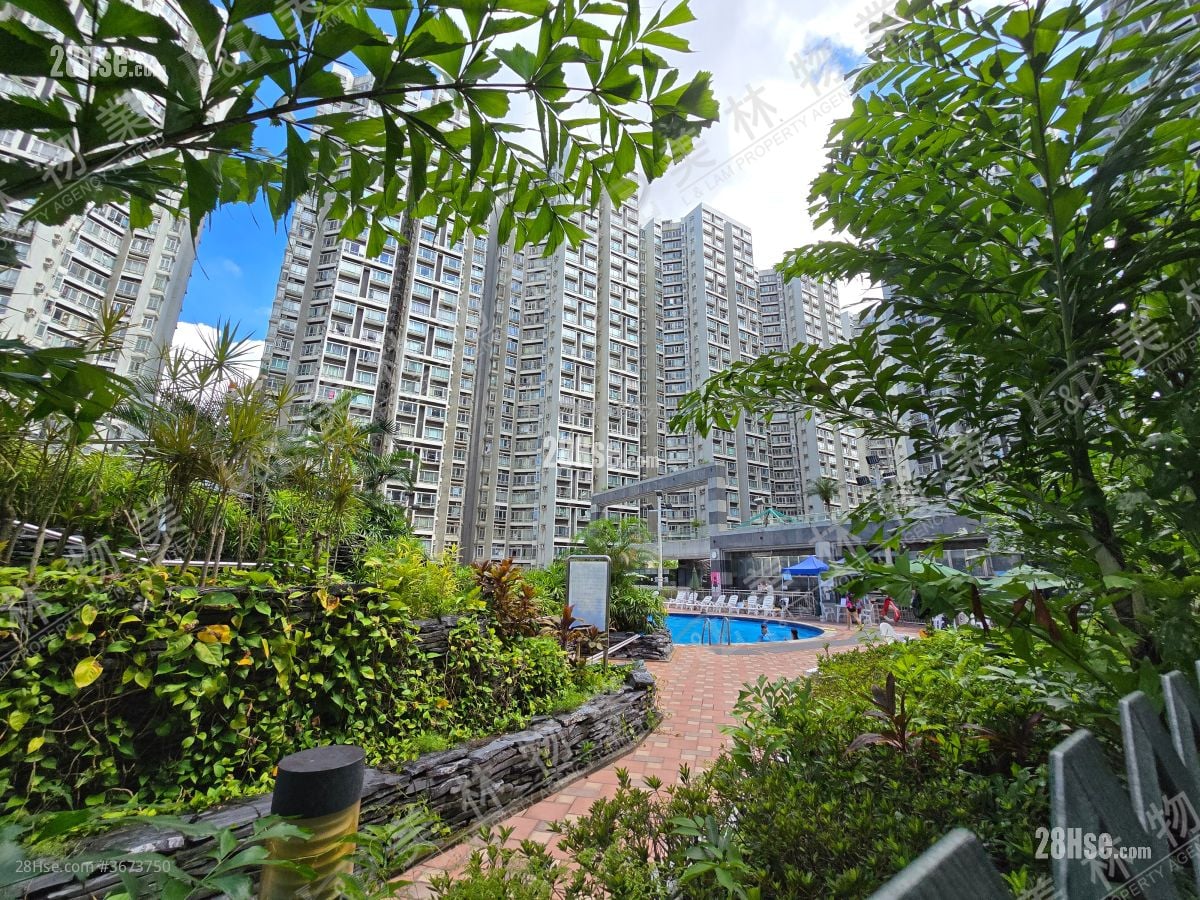 麗港城 售盤 3 房 , 2 浴室 748 平方呎