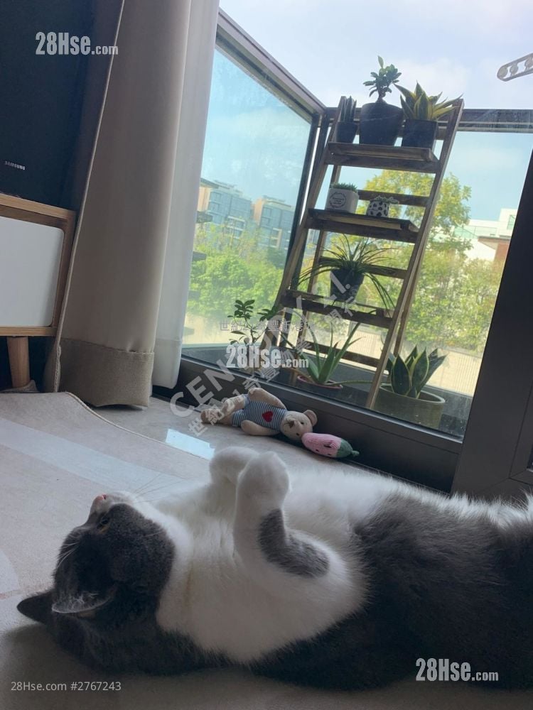 泓碧 售盤 1 房 , 1 浴室 314 平方呎