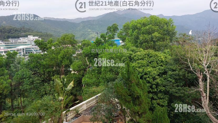 倚龙山庄 售盘 3 房 , 2 浴室 1,551 平方尺