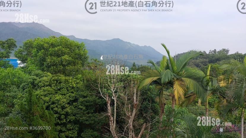 倚龙山庄 售盘 3 房 , 2 浴室 1,551 平方尺