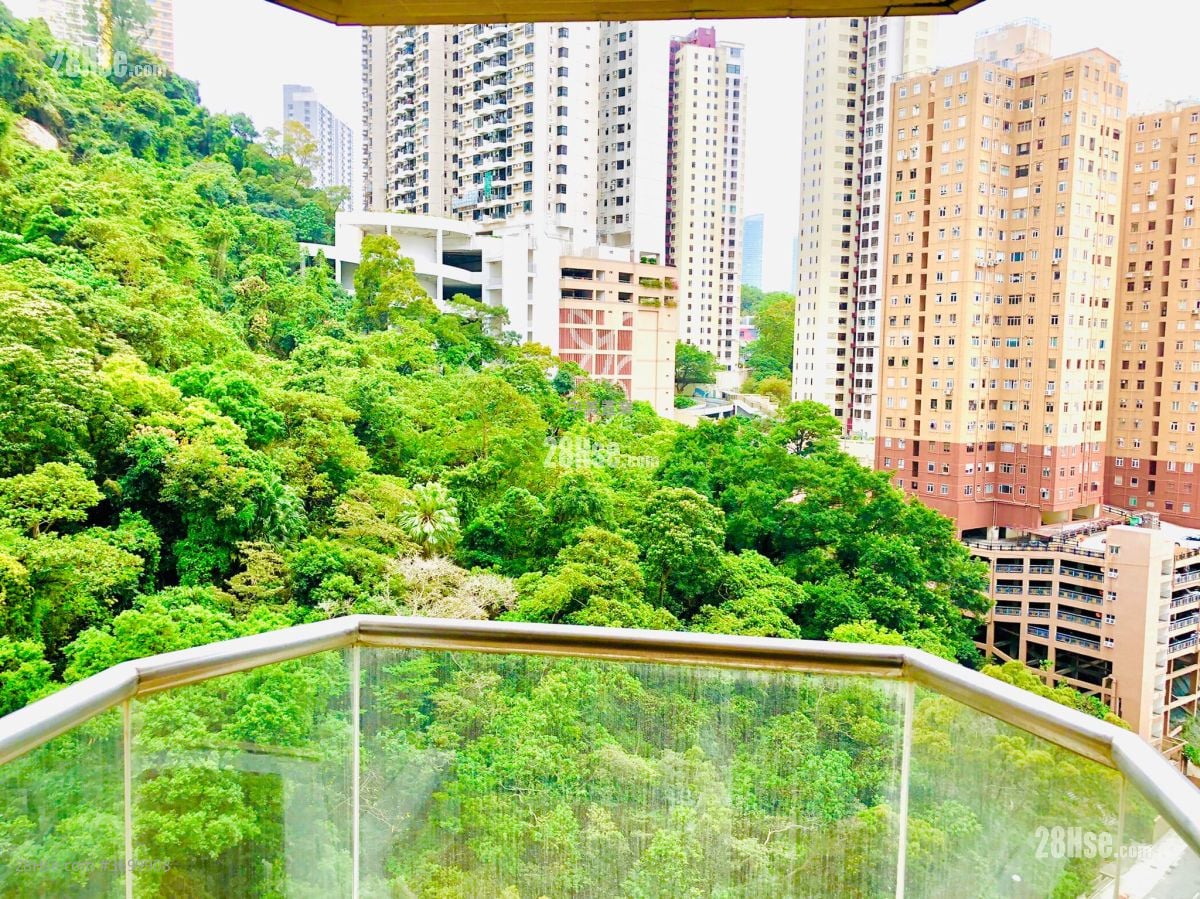 龙华花园 售盘 3 房 , 2 浴室 976 平方尺