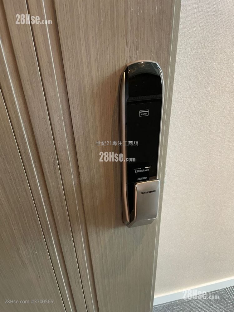 W LUXE 租盘 256 平方尺