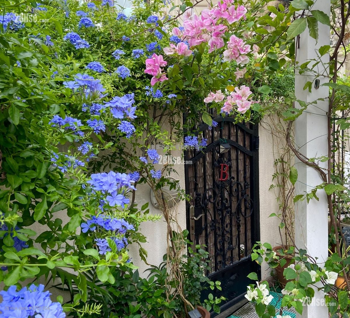 蚝涌新村 售盘 3 房 , 2 浴室 630 平方尺