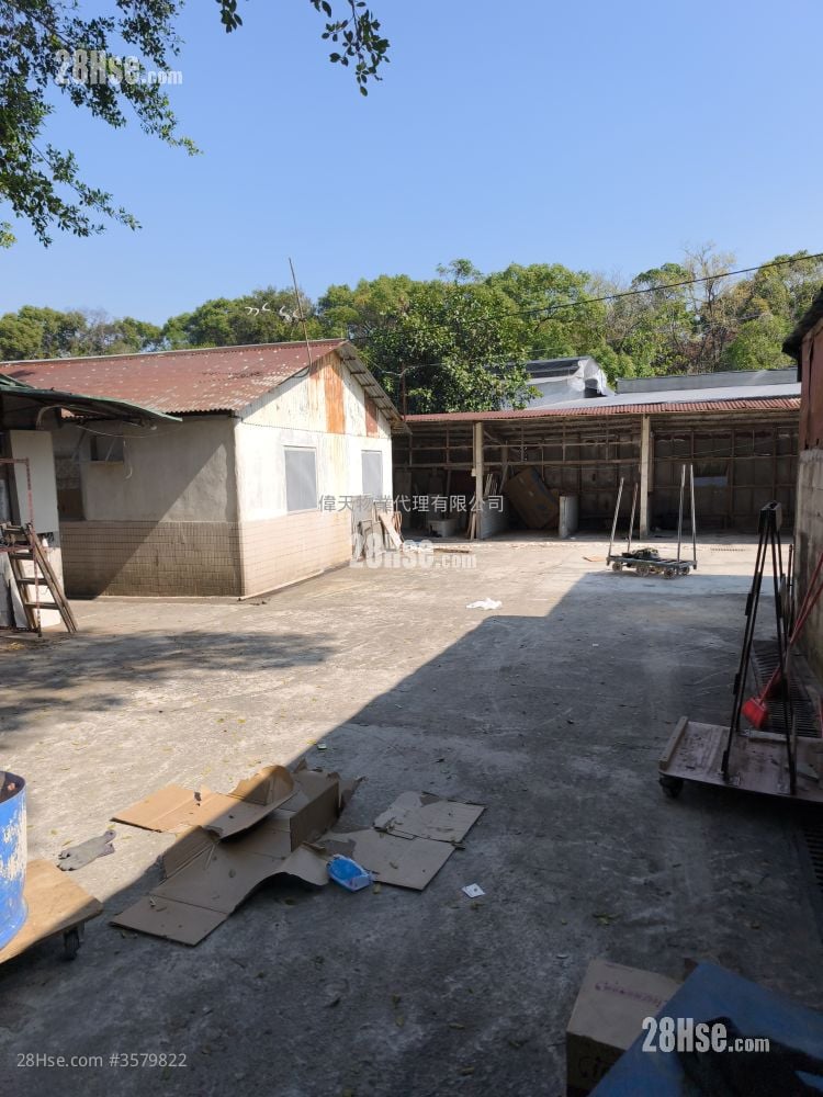 土地 租盘 5+ 房 , 2 浴室 30,000 平方尺