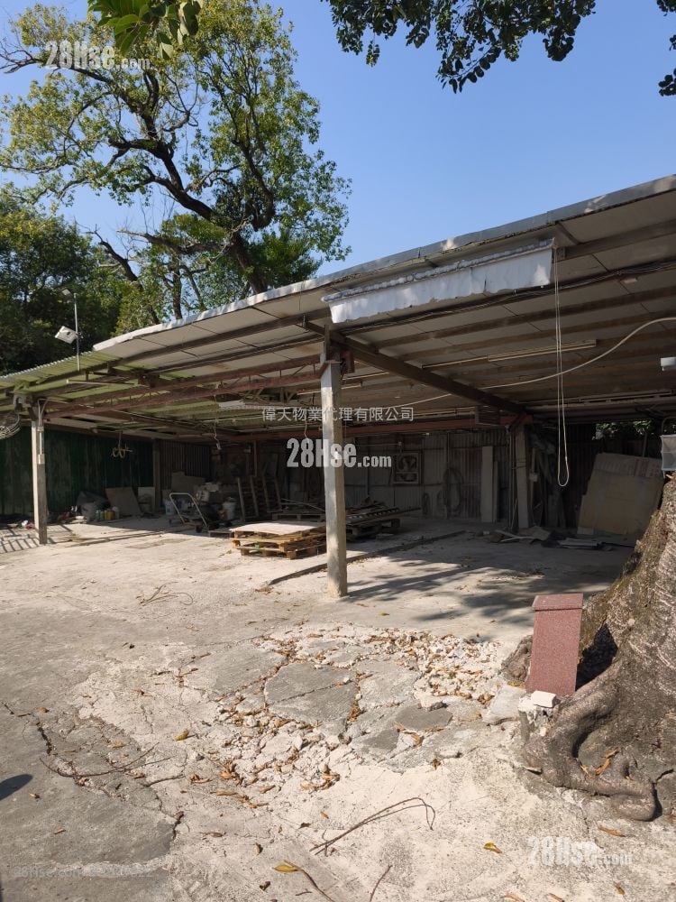 土地 租盘 5+ 房 , 2 浴室 30,000 平方尺