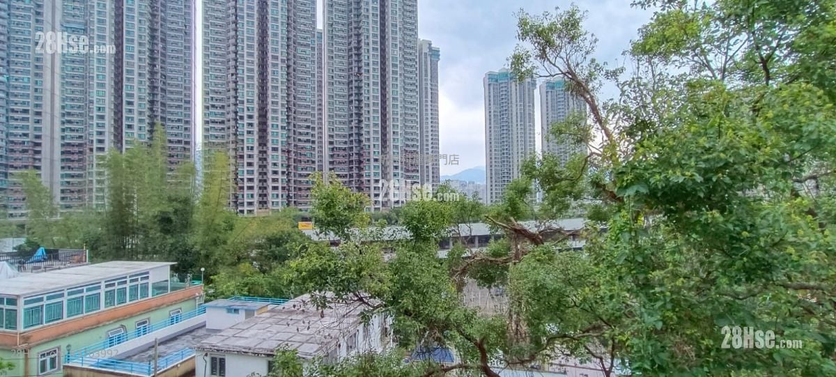 村屋 售盘 3 房 700 平方尺