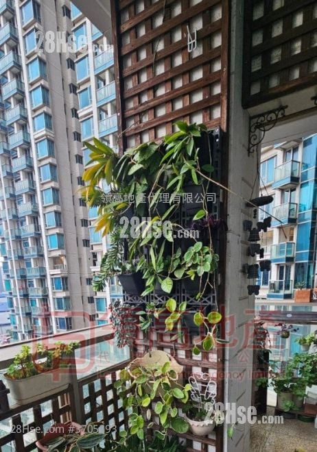 御金国峯 售盘 4 房 , 2 浴室 601 平方尺