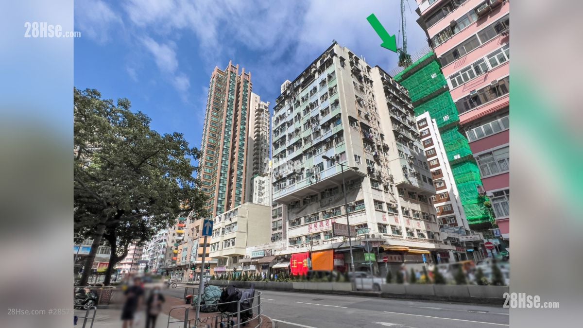 曉柏峰 周邊環境: 從大埔道觀看項目 (綠色箭嘴部分)