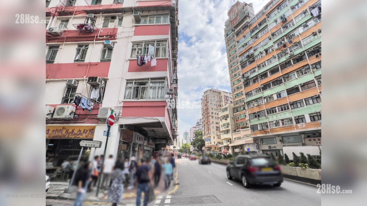 曉柏峰 周邊環境: 項目外的大埔道