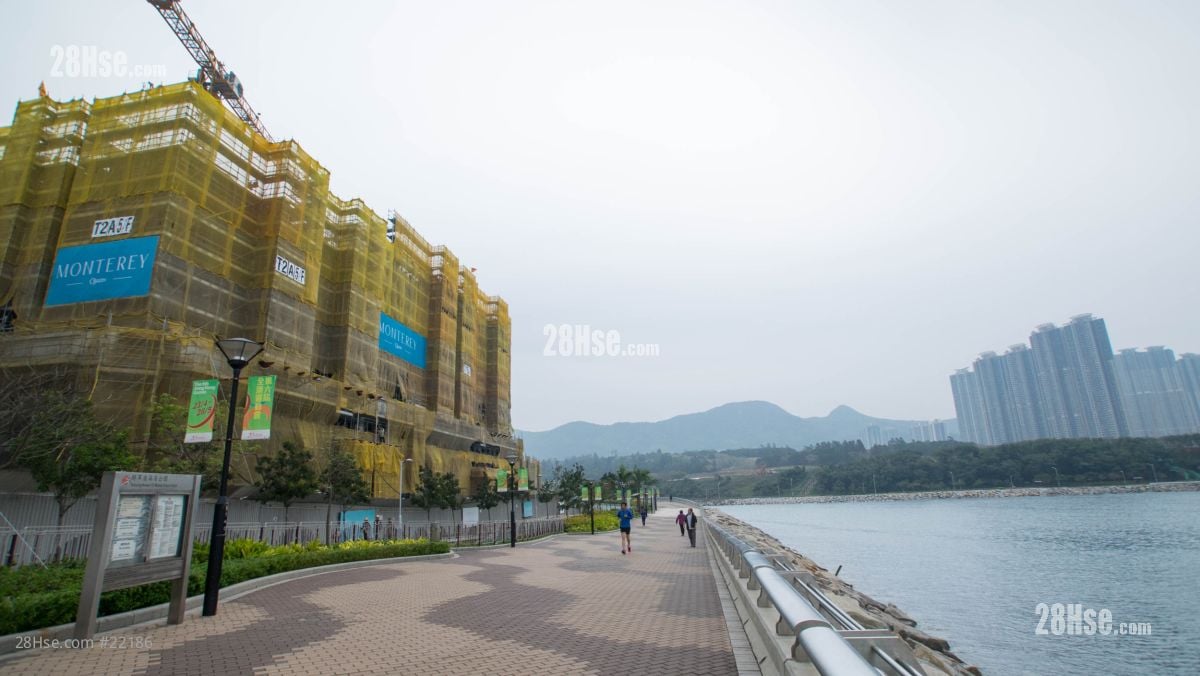 Monterey 周边环境: 项目后方的海滨公园