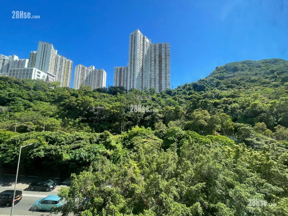 利丰大厦 租盘 2 房 370 平方尺