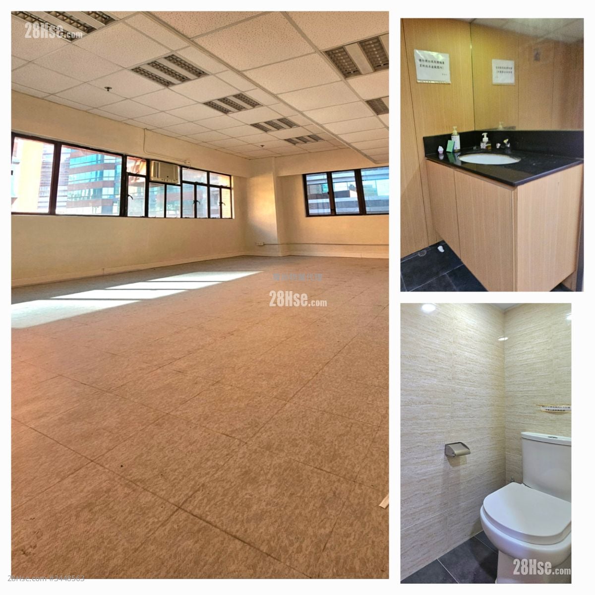 骆驼漆大厦 租盘