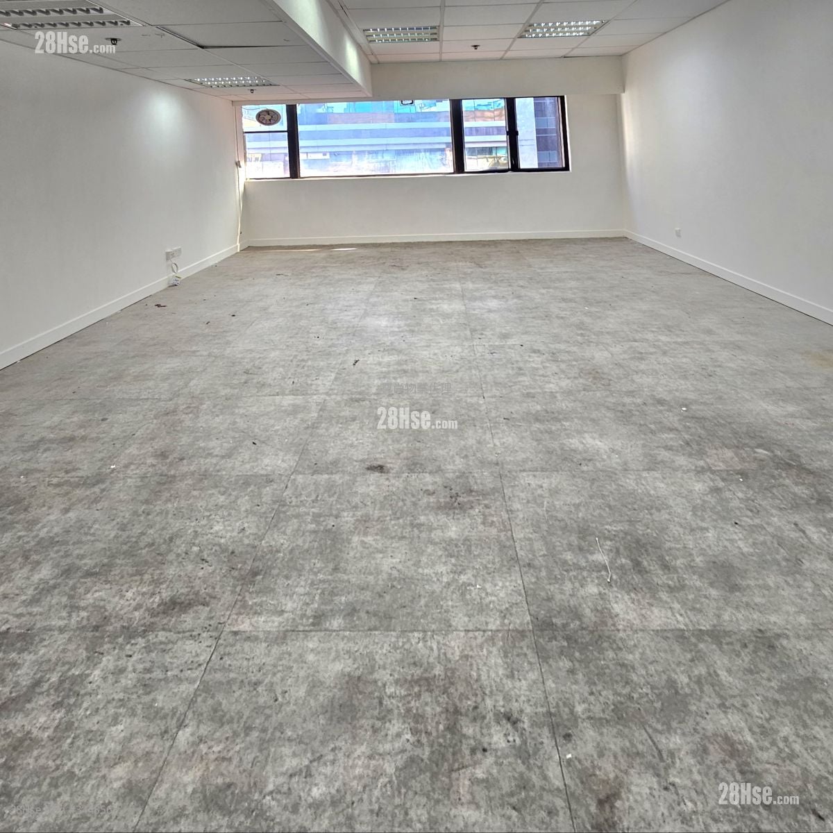 骆驼漆大厦 租盘