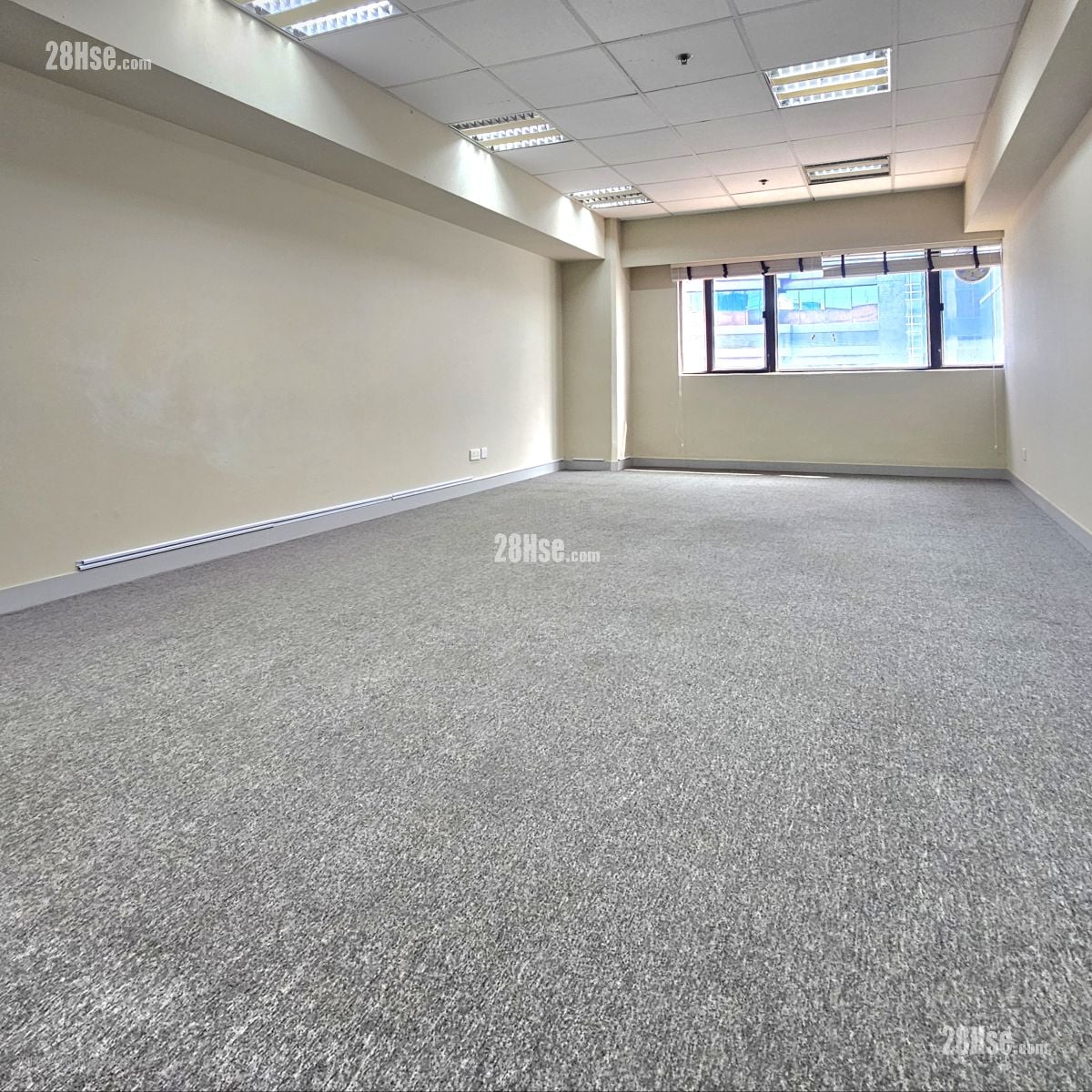 骆驼漆大厦 租盘