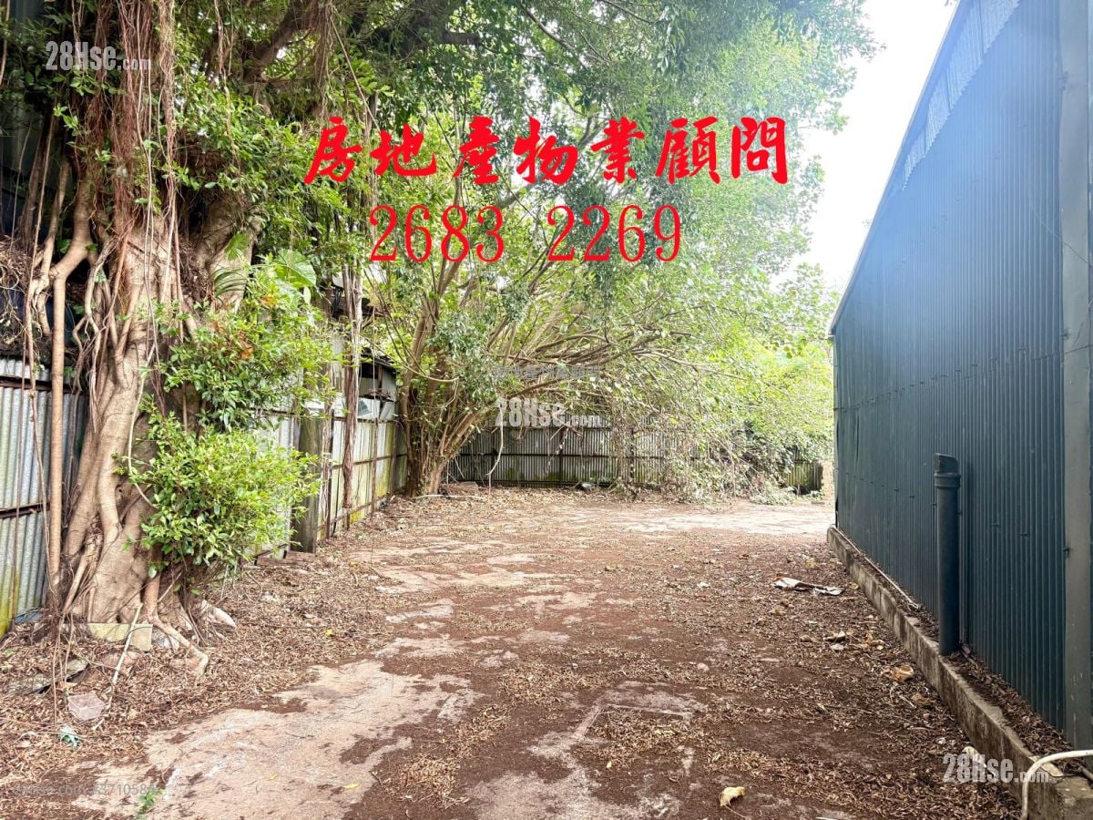 北区*不收地 租盘