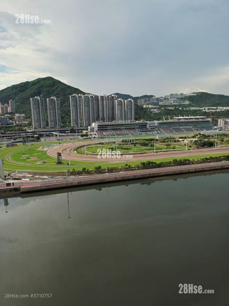 碧濤花園 售盤 3 房 , 2 浴室 849 平方呎