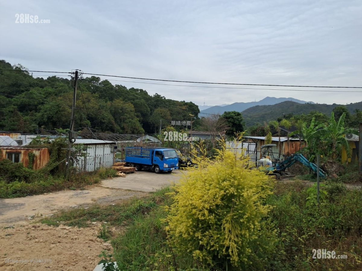 DD76L_Lot1273 售盘