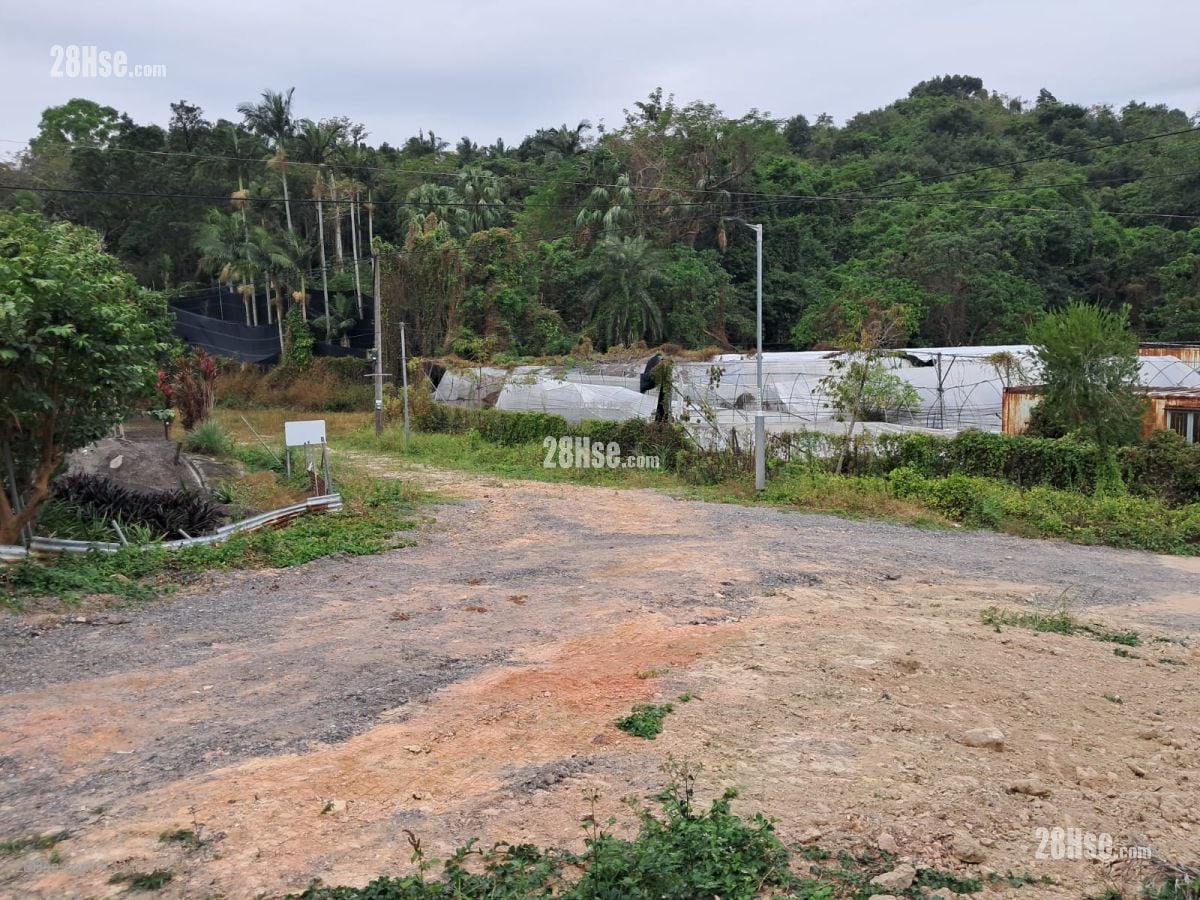 DD76L_Lot1273 售盘