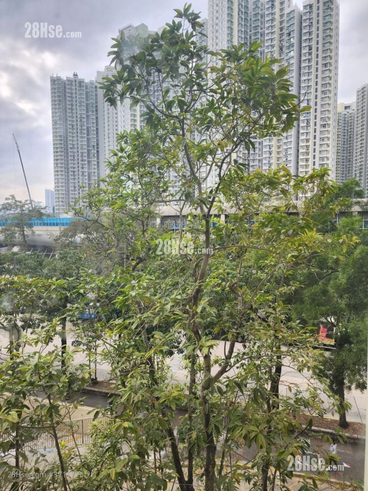 Richland Gardens Sell 3 Bedrooms , 1 Bathroom 538 ft²